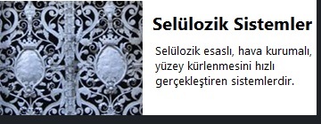 Selülozik Sistemler